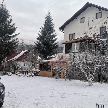 Zoso Home Buşteni Exteriör bild