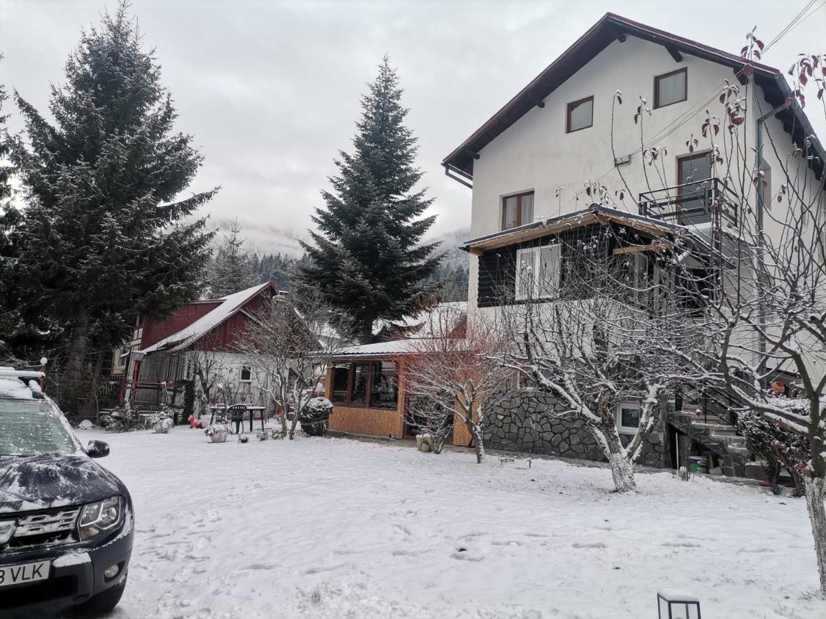 Zoso Home Buşteni Exteriör bild