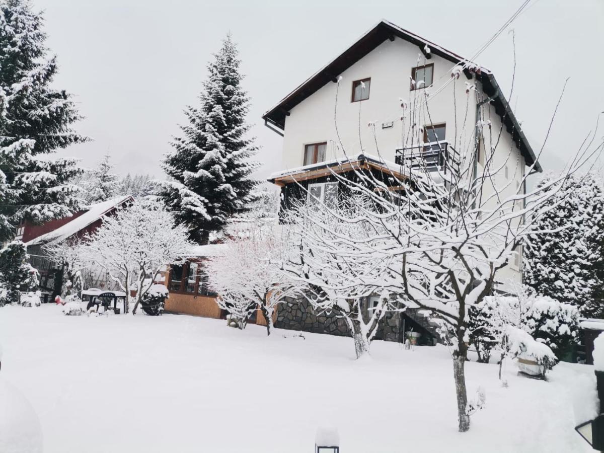 Zoso Home Buşteni Exteriör bild