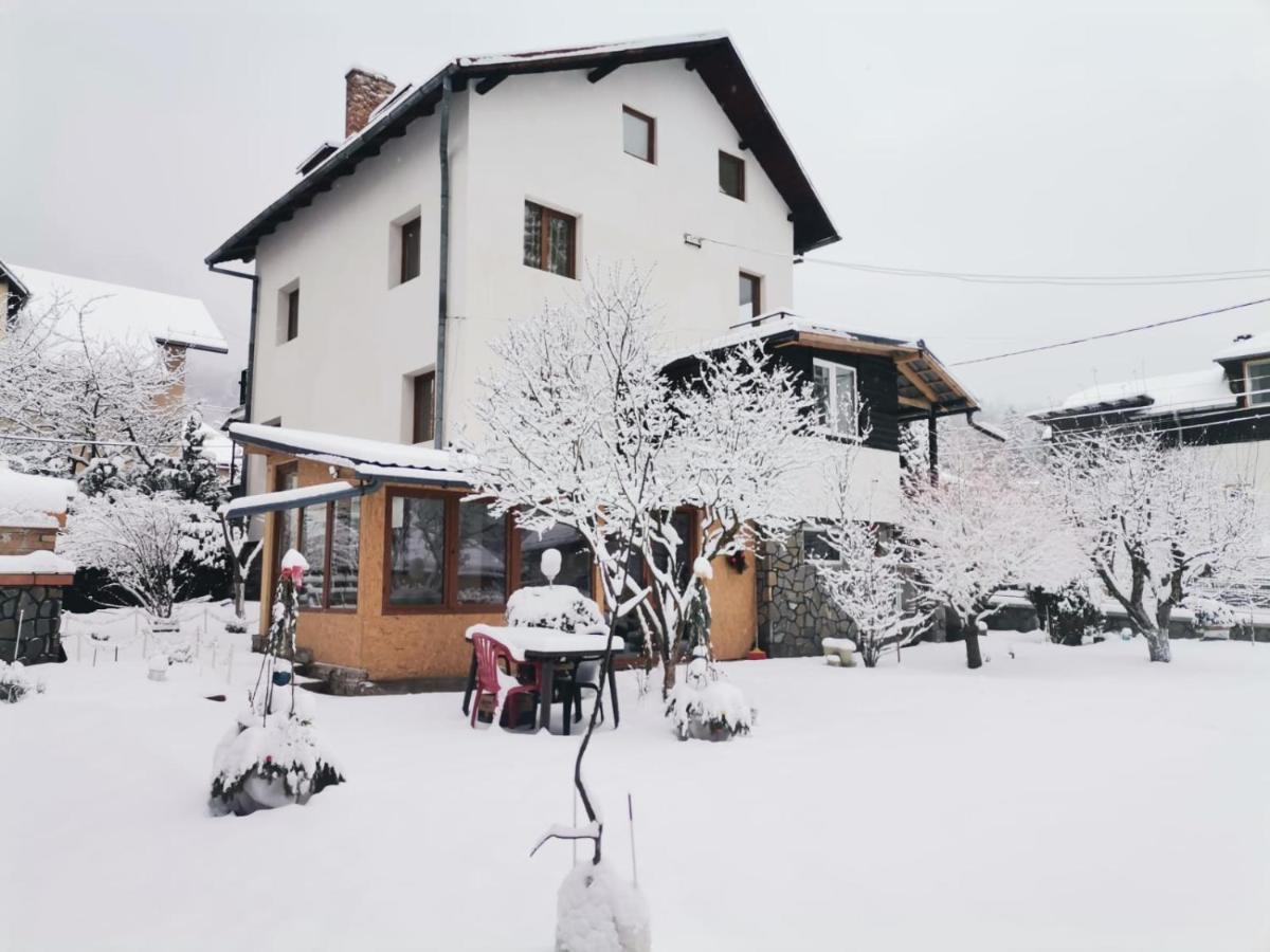 Zoso Home Buşteni Exteriör bild
