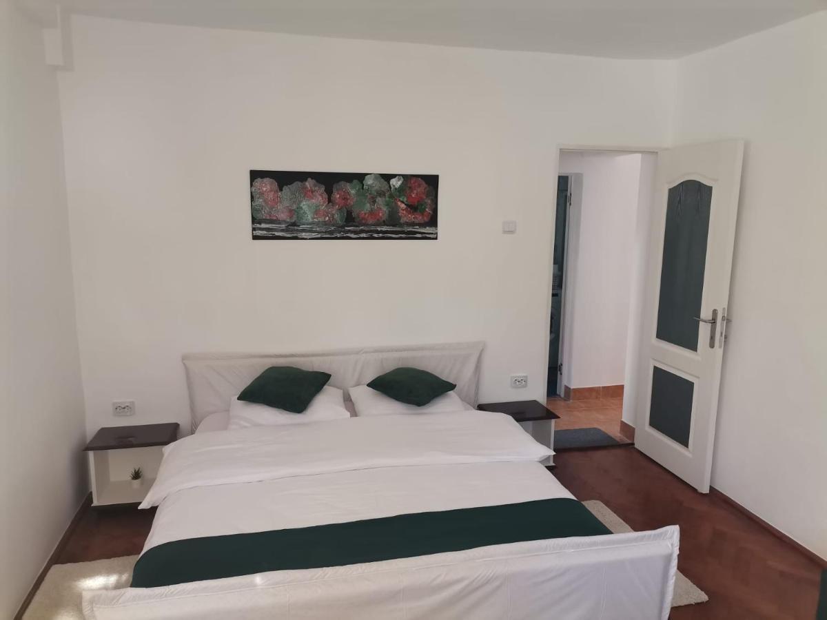 Zoso Home Buşteni Exteriör bild