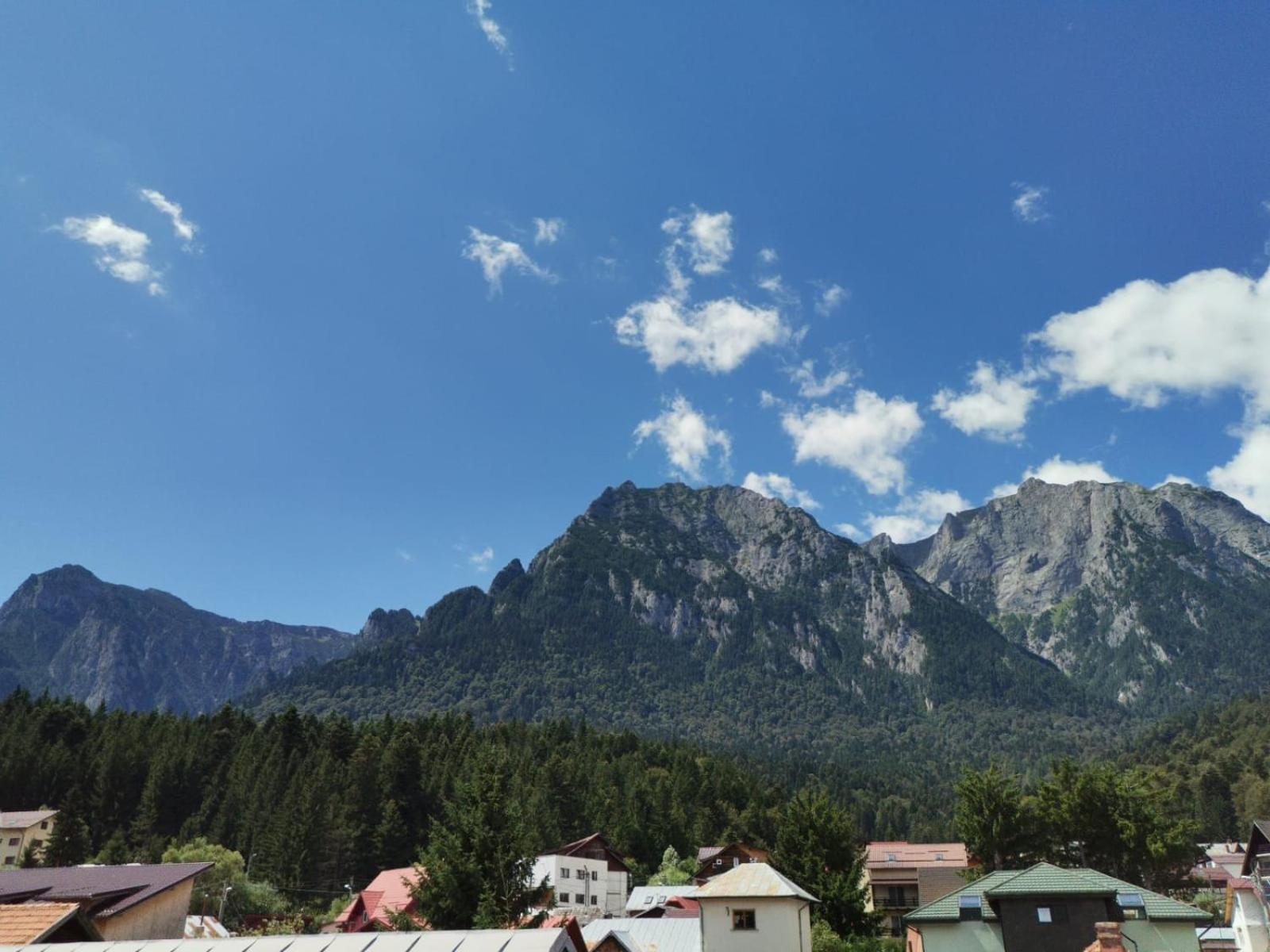 Zoso Home Buşteni Exteriör bild