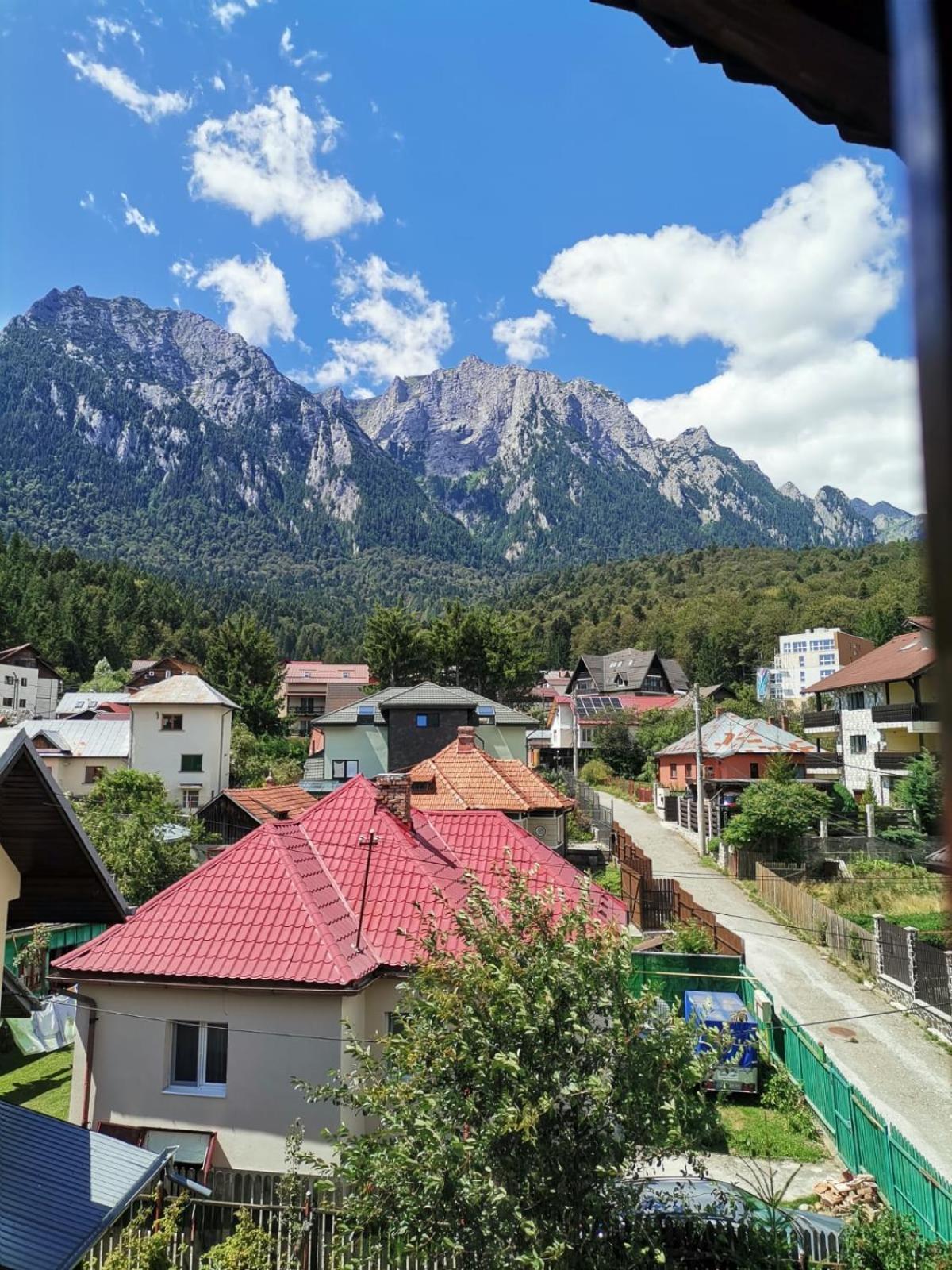 Zoso Home Buşteni Exteriör bild
